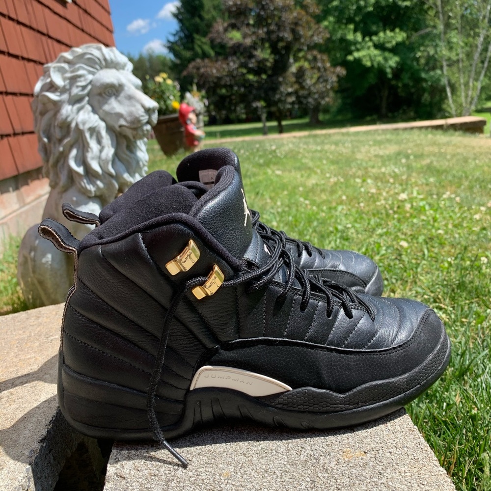 Jordan 12 Retro the Master